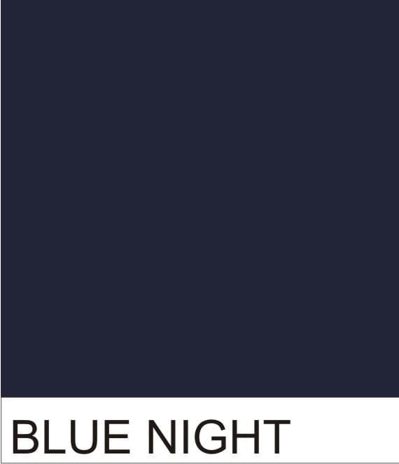 BLUE NIGHT.jpg