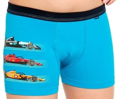 bokserki-formula1.jpg