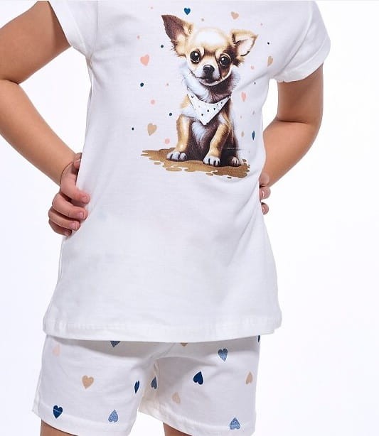 pizama-chihuahua-blizej.jpg